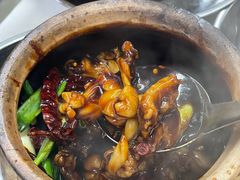 -明辉田鸡粥