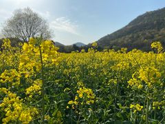 -八卦田遗址公园