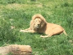 -新疆天山野生动物园