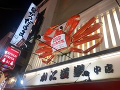 -蟹道乐(道顿堀本店)