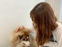 -Let's go狗咖·猫咖·奶狗·桌游(春熙路IFS店)