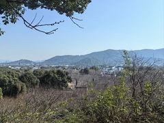 -香雪海