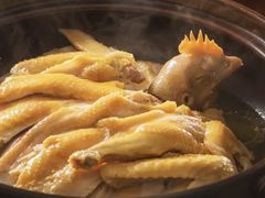 -佬肥猫(国华广场店)