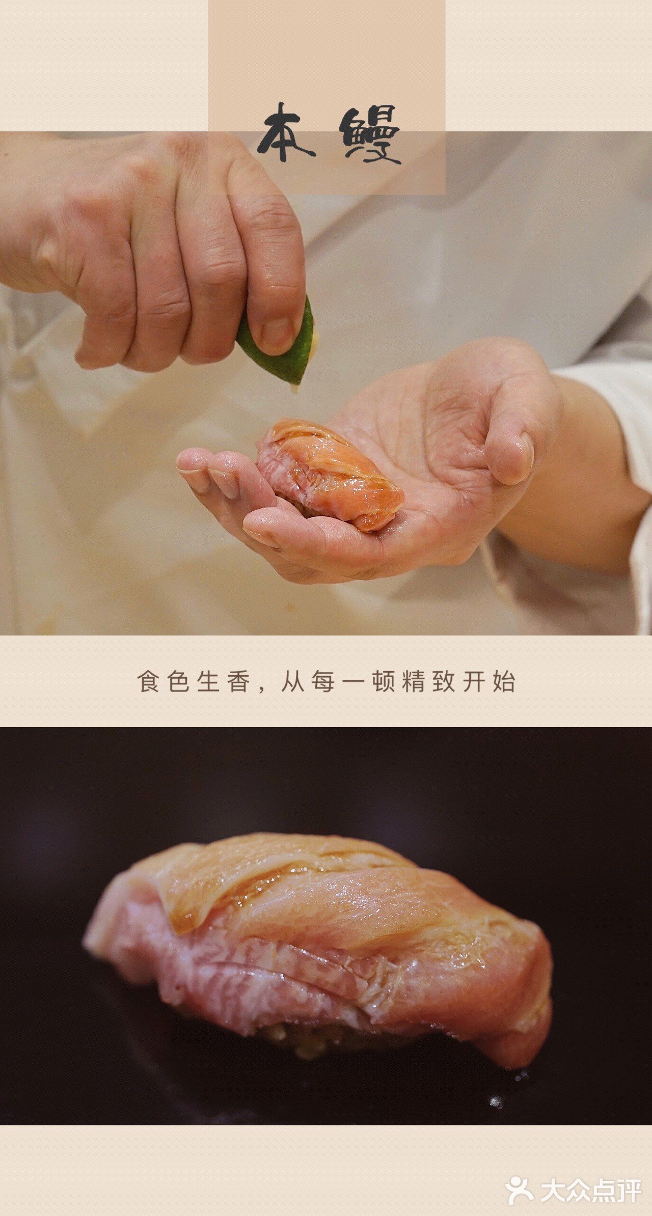 这里有来自地狱的美食【鹅颈藤壶】