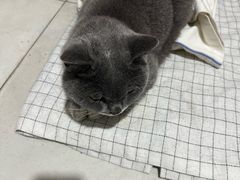 -美联众合动物医院·24h京西诊疗中心