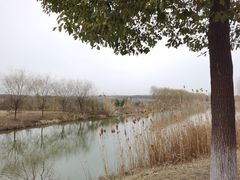 -南湖湿地公园