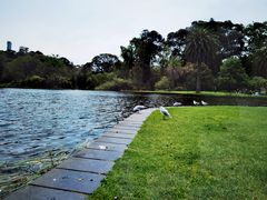 -墨尔本皇家植物园