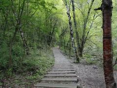 -叠溪松坪沟景区