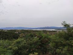 -欢乐松鼠谷
