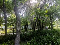 -廊坊市自然公园