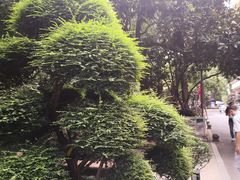 -浙江大学医学院附属第二医院(解放路院区)