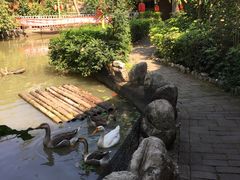 -晓雯人家
