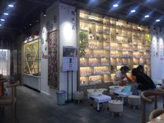 -陶语手工·拼豆·陶艺·银饰diy(宽厚里店)