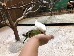 -上海大自然野生昆虫馆