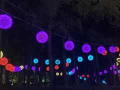-大雁塔文化休闲景区-北广场