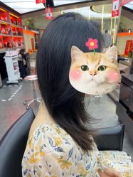 -和良形象