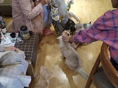 -万小咖.猫咖(中山路天虹店)