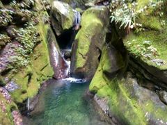-黑河国家森林公园