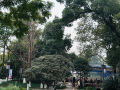 -成都市文化公园
