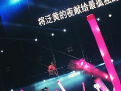 -南京奥林匹克体育中心-体育馆