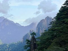 -黄山风景区