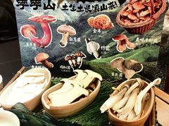 -季季山•云南野生菌火锅(上海首店)