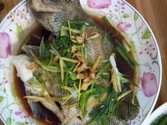 -天鹅到家·保姆月嫂育儿嫂(蔚蓝海岸店)