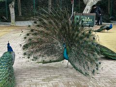 -杭州野生动物世界