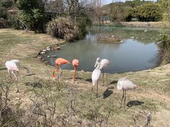 -宁波野生动物园