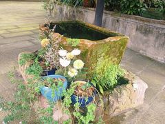 -都江堰普照寺