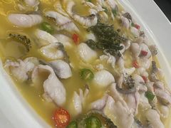 -青花椒花椒鱼(合生汇店)