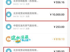 -北京观赏动物医院·24小时大型综合·猫专科·异宠专科