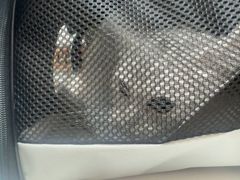 -宠福鑫动物医院(城北分院)