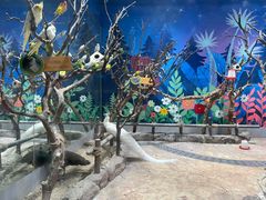 -海合安青岛极地海洋公园
