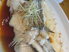 -大鸽饭(马王堆店)