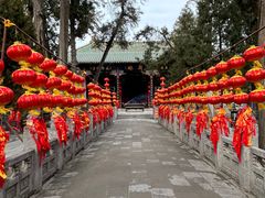 -关林