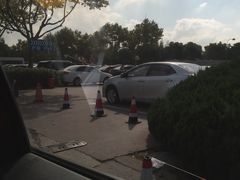 -野生动物园-停车场