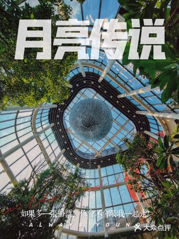 南翔印象城盛大开业！手机也能轻松出大片！