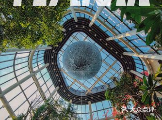 南翔印象城盛大开业！手机也能轻松出大片！