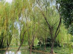 -杭州城北体育公园