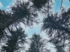-硗碛藏寨·神木垒景区