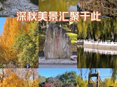 -丰台花园