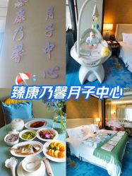 -臻康乃馨月子中心(凯宾斯基店)