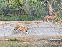 -深圳野生动物园