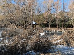 -石家庄市动物园