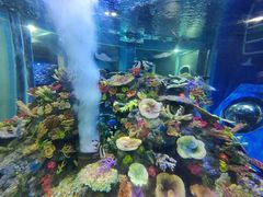 -成都浩海立方海洋公园