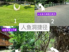 -鹿嘴山庄
