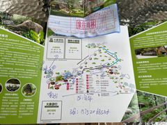 -野象谷景区