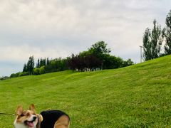 -瀛海足球主题公园