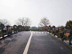 -荷兰花海